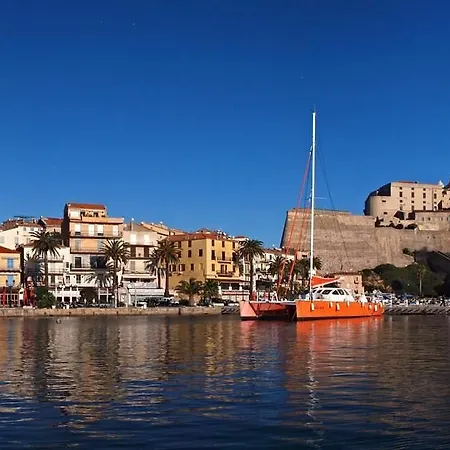 Apartment In Calvi 150 M From The *