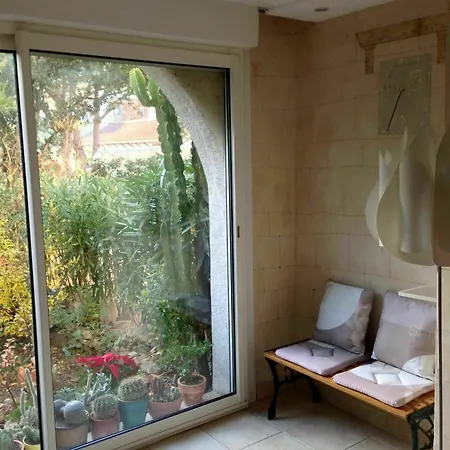 In Calvi 150 M From The Apartment